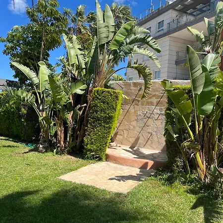 Apartamento Olivanova *